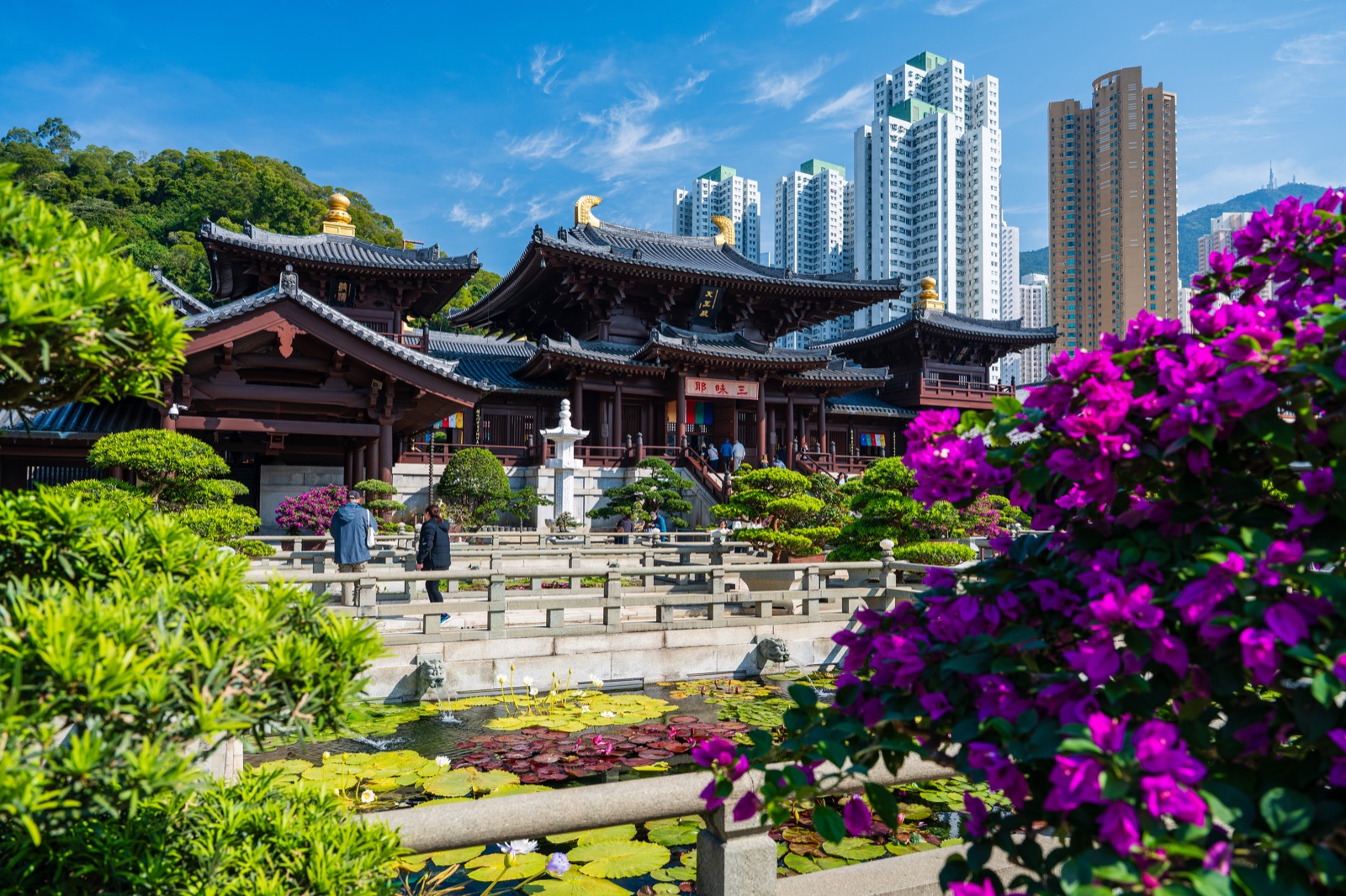 Hong Kong and Vietnam 2024-2025