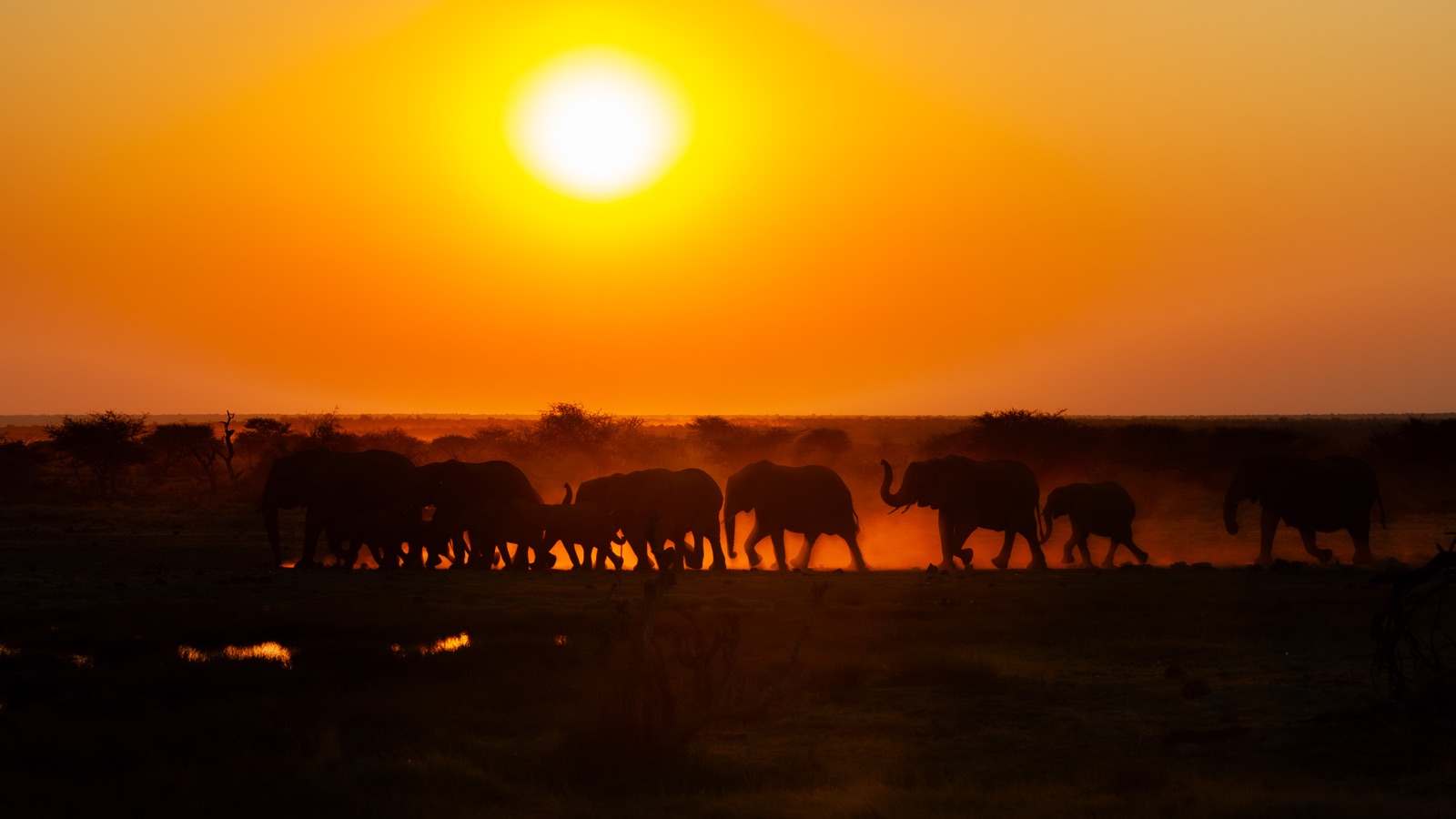Namibia 2024