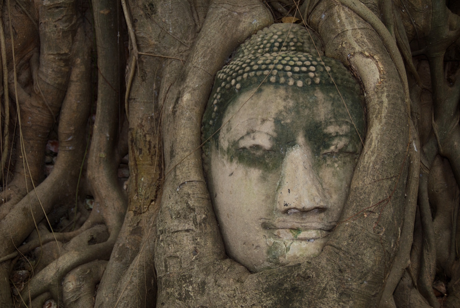 Thailand 2013