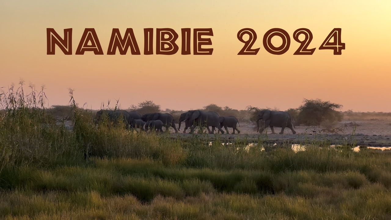 Namibia 2024